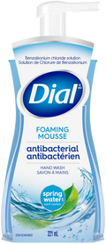 Dial Foaming Antibacterial Spring Water Scent Hand Wash 221mL