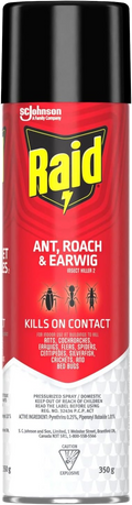 Raid Ant, Roach & Earwig Insect Killer Pressurized Spray 350g