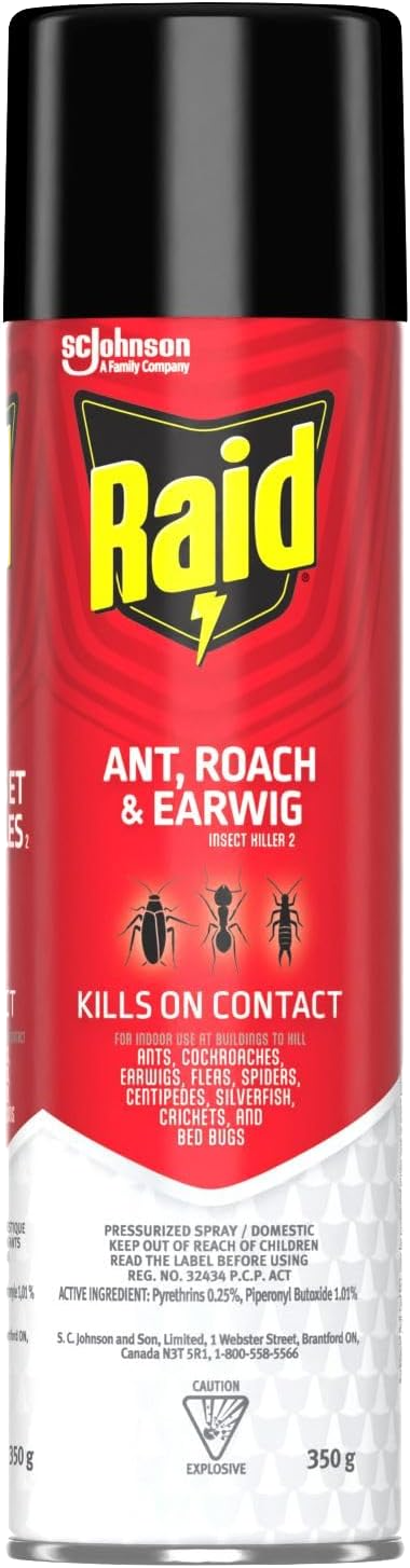 Raid Ant, Roach & Earwig Insect Killer Pressurized Spray 350g