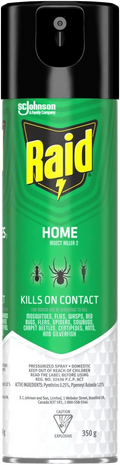 Raid Home Insect Killer Pressurized Spray 350g