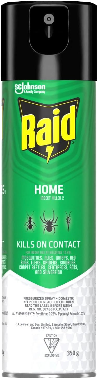 Raid Home Insect Killer Pressurized Spray 350g