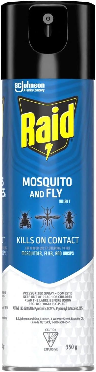 Raid Mosquito And Fly Killer Pressurized Spray 350g