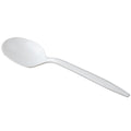 Soup Spoon 1000/cs